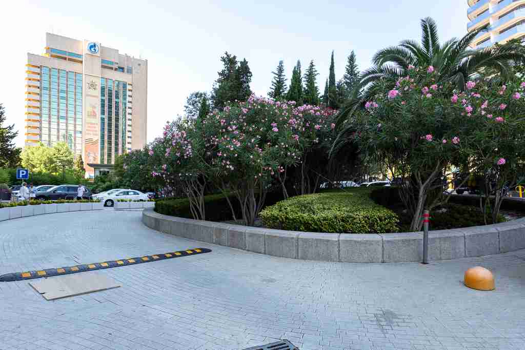 Фотографии интерьера